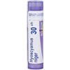 Boiron Hyoscyamus Niger 30 Ch Granuli 4 g Multidose
