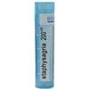 Boiron Staphysagria 200 Ch 80 Granuli 4 g Multidose