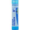 Boiron Arnica Montana 9 Ch Globuli 1 g Monodose