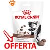 Royal Canin Dog Veterinary Diet Gastrointestinal Treats Snack per Cani - Bustina Da 230 Gr - CONFEZIONE RISPARMIO