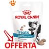 Royal Canin Dog Veterinary Diet Hypoallergenic Treats Snack per Cani - Bustina Da 230 Gr - CONFEZIONE RISPARMIO