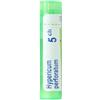Boiron Hypericum Perforatum 5 Ch Granuli 4 g Multidose