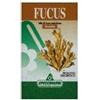Fucus Erbe 150 Tavolette pz Compresse