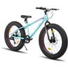HILAND - mountain bike con pneumatici grassi da 24/26 pollici per ragazzi e ragazze, 7 velocità, doppio freno a disco, adatta per la spiaggia e la neve, colore: verde/blu/bianco (Verde, 26)