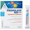 PromoPharma Promolase 1000 Plus - Duplice fonte di Magnesio e Potassio ad Alto Assorbimento - Reintegro Sali Minerali per Stanchezza, Caldo e Sport - Senza Zucchero - Gusto arancia - 12 Stick Pronti all'Uso