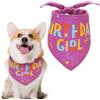 SUBTAVIK Bandana per compleanno cane, Bandana per compleanni, Sciarpa triangolare per cani femmine, Articoli per feste di compleanno per animali domestici, per gatti maschi di piccola e media taglia (Viola)