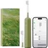 Laifen Wave Special Spazzolino Elettrico Sonico con Oscillazione & Vibrazione Dotato di App, 2 Testine di Ricambio, IP68 Impermeabile, Ideale per Viaggi(Verde)