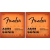 Fender Phosphor Bronze Acoustic 60L 12-53 (Confezione da 2)