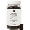 vitaoutlet Orsetti gommosi Shilajit | sapore di lampone | 60 pezzi | 1400 mg per porzione | vegano | materia prima premium dall'Himalaya | asfalto punjabianum | mumijo shilajita | di produzione