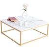 MEUBLE COSY Tavolino da Caffè Tavolini da Salotto Divano Tavolo Quadrata con Piano Effetto Marmo Struttura in Metallo per Soggiorno, Camera da Letto, Montaggio Facile, Bianco + Oro, 80x80x34cm