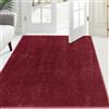 FCSDETAIL Zerbino Trappola Sporco 120 x 180 cm, Tappetino Antiscivolo Lavabile in Lavatrice, Zerbino d'Ingresso con Microfibre Morbide Assorbenti per Cane, Ingresso, Porta e Corridoio