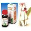 Echinacea 59 50ml Tm