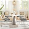 Zouron Sedie da cucina in rattan, set di 4, sedie da pranzo moderne di metà secolo, sedie da cucina senza braccioli con schienale in rattan intrecciato, gambe in metallo, Grigio