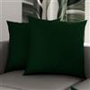 PETTI Artigiani Italiani - Coppia di Federe Cuscino 50x50 cm in Microfibra, Cuscini Arredo Camera da Letto, Divano, Set 2 Fodere Copricuscino, Federa Tinta Unita Verde, 100% Made in Italy