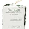 Ethical Grace - Scacciaguai - Shampoo e Balsamo Solido 2 in 1 Vegano Naturale per Capelli Grassi con Estratto di Ortica, Olio Essenziale di Menta, Olio Essenziale di Limone 90 gr