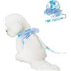 Blue Dream Island Pettorina per cani di piccola taglia con guinzaglio, set di pettorina con fiocco e guinzaglio, tutù estivo con stampa floreale, per gatti e cuccioli, per passeggiate all'aperto, 2XL (blu)