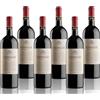 BOSSI FEDRIGOTTI FOJANEGHE 2017 | Vigneti delle Dolomiti IGT Rosso| 6x750 ml | 6 bottiglie