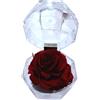 Genérico Rosa eterna rossa in portagioie. Regalo originale. Rosa rossa conservata. Rosa rossa naturale conservata. Decorazione elegante. Regaslo innamorato, compleanno, anniversario, festa della mamma