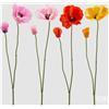 Enzo De Gasperi EDG Enzo de Gasperi PAPAVERO RAMO X2 4 COLORI ASSORTITI H 58 CM