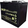 Motori elettrici Minn Kota Batteria AGM Cycle Use SK12-80S 12 V - 80 Ah