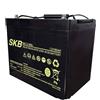 Motori elettrici Minn Kota Batteria AGM Cycle Use SK12-65 Batteria 12 V -65 Ah