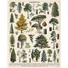 CAVALLINI & CO. Cavallini- Arboretum 1,000 Piece Puzzle, Colore Multicolore/Onde del Mare (Ocean Tides), 1000, PZL/TREE