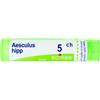 BOIRON Srl Boiron Aesculus Hippocastanum 05Ch Tubo Granuli 4g - Rimedio Omeopatico per Problemi del Microcircolo