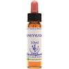 NATUR Srl HONEYSUCKLE ESS 10ML INGL HERB