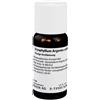 WELEDA BRYOPHYLLUM ARGENTO CULTUM D2 1% 50 ML