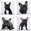Edlike Set di 4 federe per cuscini da 18 pollici, ultra corte, in peluche, decorative, per divano, letto, sedia auto, 45 x 45 cm (cane B)