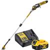 DEWALT Potatore su asta Dewalt DCMPS567P1-QW 18V 5Ah
