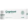 MC STONE ITALIA COGNIZANT 10FL. - MC STONE ITALIA - 984746103