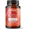 SOOL Gommose al Complesso di 4 Funghi, 2000 mg, 60 pezzi: Chaga, Reishi, Shiitake e Criniera di Leone (Lion's Mane) | Nootropici | Integratore per la Memoria