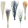 Vulevirtue 100 Mazzi di Fiori Secchi Naturali,Erba di Pampa Decorativa Decorativi Completi di Fiori Secchi Decorazione in Stile Boho per Casa Giardino Feste Ufficio per Fai Da Te