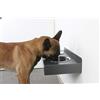 Fabricios Elegante mangiatoia per cani da appendere in metallo con 2 ciotole per cani in acciaio inox (grigio titanio)