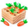 Dream Fun Giochi Legno Montessori per Bambini 1-3 Anni, Puzzle e Giocattoli Educativi, Regalo Compleanno 12-36 Mesi