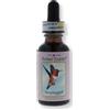 NATUR Srl Colibri hummingbird ess 30ml - - 907288435