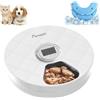 Auveach Distributore Automatico Cibo Gatti Umido Dispenser Crocchette Gatto Refrigerante senza Fili con Timer Programmabile, 6 Pasti Freschi