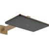 hansgrohe Raindance Alive Q soffione doccia, 2 tipi di getto, 24551140, Raindance Alive Q bronzo spazzolato [Rubinetteria Bagno > Soffioni Doccia]