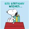 Cards Hallmark Peanuts Snoopy Compleanno Grande Auguri di Compleanno...