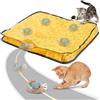 Neulriscn Giocattoli interattivi per gatti palla da interni simulati caccia Cat Toy, giocattolo veloce per gatti ricaricabile, con borsa da caccia a doppio strato
