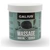Galius - Olio Sólido di Rosmarino per Massaggi - Oli Essenziali per Professionisti e Sportivi - Olio di Rosmarino - Combatte l'Infiammazione Allevia il Dolore Muscolare Stimola la Circolazione 1000ml