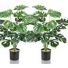 Lighterday Set di 2 Alberi Artificiali Decorativi per Interni da 70cm - Piante Alte in Plastica per Ufficio, Casa, Decorazione per Interni ed Esterni (2 Vasi di Monstera)
