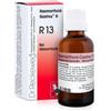 DR.RECKEWEG Reckeweg r13 gocce 22ml - 909462273 - igiene-e-salute/rimedi-omeopatici/tinture-madri
