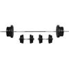 HOMCOM Set Bilanciere 66kg con 2 Manubri Pesi, Pesi Palestra Manubri con 14 Dischi in Acciaio e Plastica