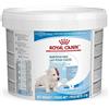 ROYAL CANIN BABYDOG MILK LATTE IN POLVERE ROYAL CANIN KG 2