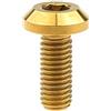 Yaruijia Bullone in titanio M8 x 15/20/25/30/35/40 mm, viti a brugola per parti di biciclette e moto (M8 x 20 mm, oro)