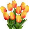 dellyy Tulipani Artificiali 10 Pezzi, Tulipani Finti come Veri, Fiori Artificiali Realistici per la Decorazione di Soggiorno e Camera da Letto, Tulipani Artificiali come Veri (tramonto)