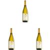 Conte Brandolini D'Adda Sauvignon 750 ml (Confezione da 3)