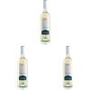 Masi Tupungato PASSO BLANCO 2023 | Vino Bianco di Argentina BIO | 750 ml | Appassimento Expertise | 1 bottiglia (Confezione da 3)
